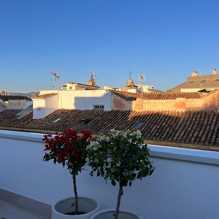 Atarazanas Suite, Atico Con Terraza マラガ エクステリア 写真