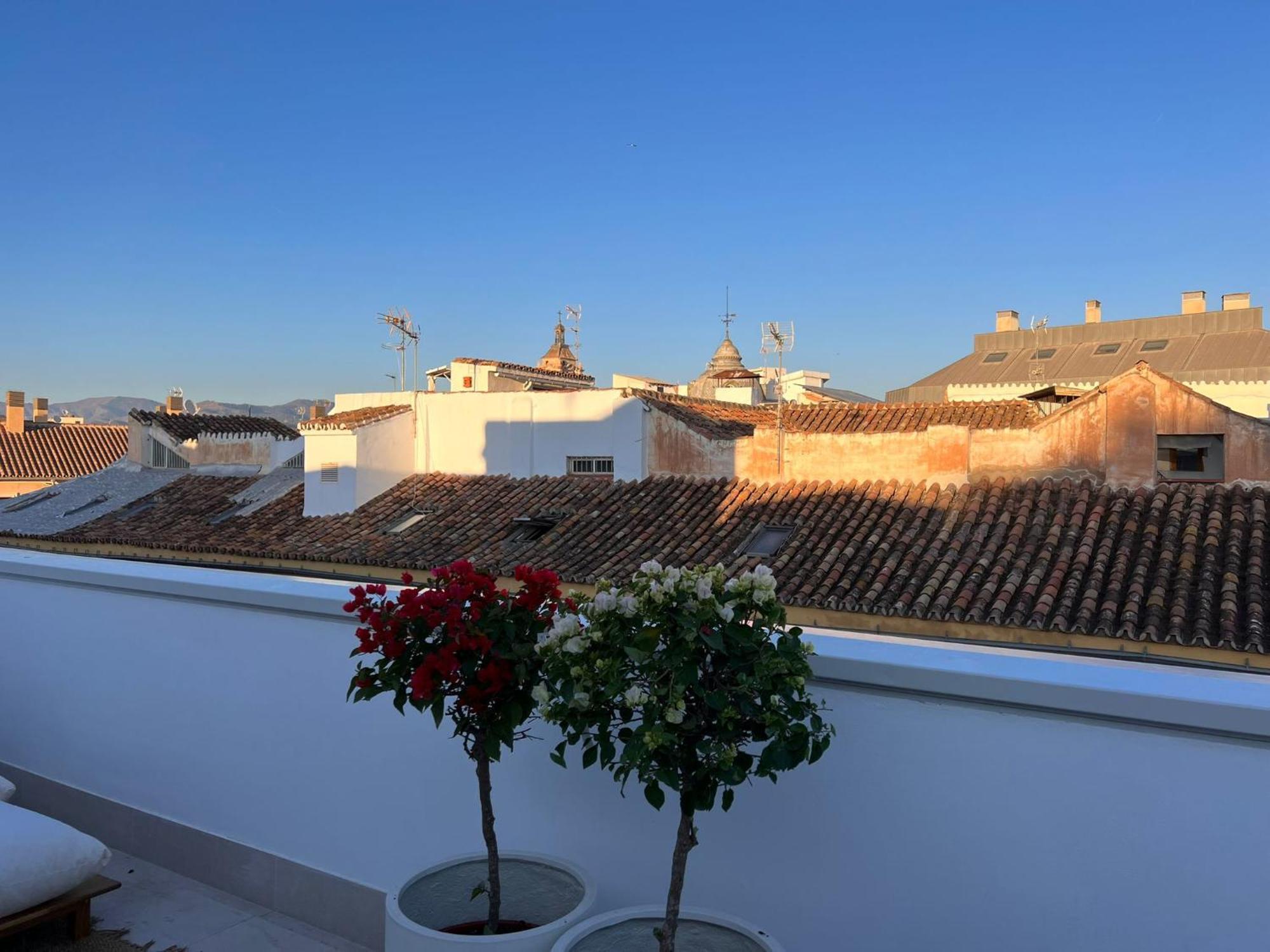 Atarazanas Suite, Atico Con Terraza マラガ エクステリア 写真